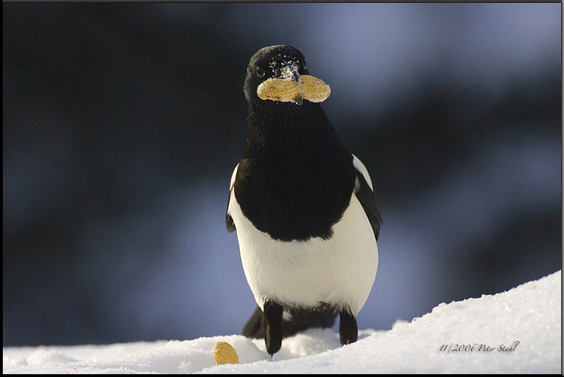 Entrepreneurial leaders – what do they do? (part&nbsp;1)